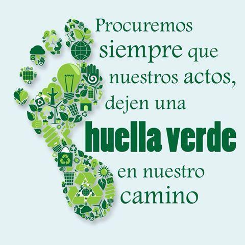 Dia Mundial del Ambiente 07 junioWEB G