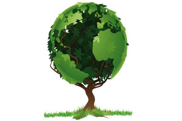 Dia mundial del ambiente 07 junio 2016 WEB G