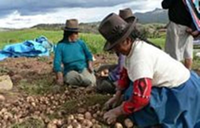 Agricultura Cultura Ecologica WEB G